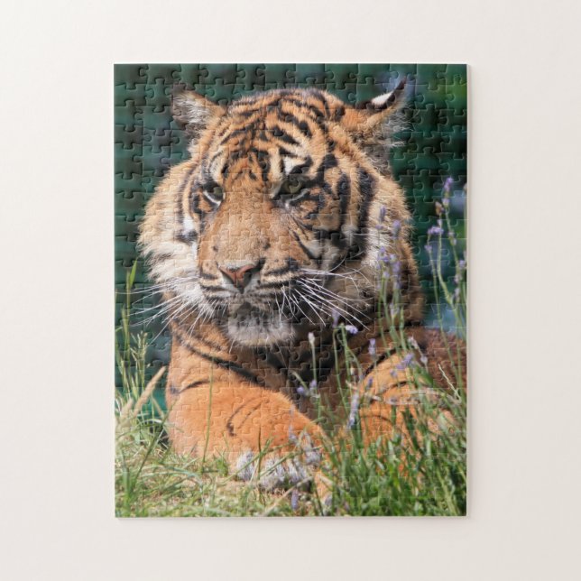 Close-up Tiger Jigsaw Puzzle (Vertical)