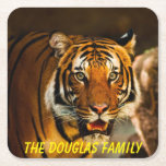 Close-up Tiger Square Paper Coaster<br><div class="desc">An ideal accessory for the coffee table or just to use as a display,  this lovely Tiger picture would really stand out.
The text can be changed to suit your own requirements.
 
Photograph by Jean Beaufort</div>