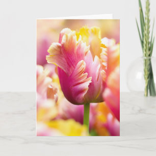 Close-up Tulips Card
