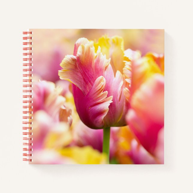 Close-up Tulips Notebook (Front)