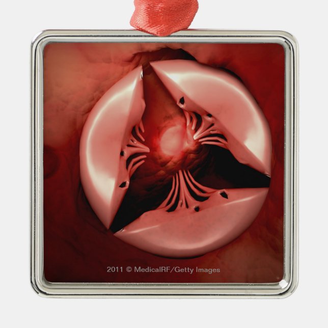 Close up view of the tricuspid valve in the heart metal ornament (Front)