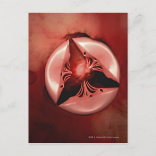 Close up view of the tricuspid valve in the heart postcard