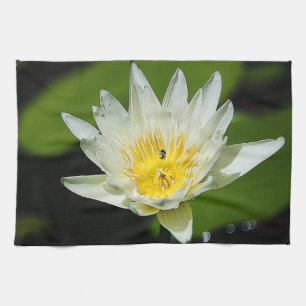 Close-up White Water Lily Flower and Bee Kitchen Towel