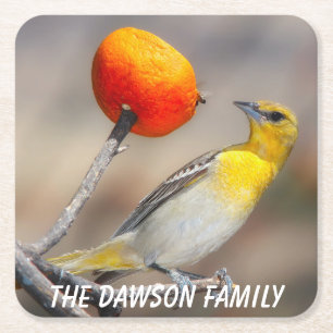 Close-up Wild Bird Square Paper Coaster