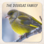 Close-up Wild Bird Square Paper Coaster<br><div class="desc">An ideal accessory for the coffee table or just to use as a display,  this lovely picture would really stand out. The text can be changed to suit your own requirements.

Photograph by Jean Beaufort</div>