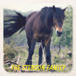 Close-up Wild Horse Square Paper Coaster<br><div class="desc">An ideal accessory for the coffee table or just to use as a display,  this lovely Tiger picture would really stand out. The text can be changed to suit your own requirements.

Photograph by Jean Beaufort</div>