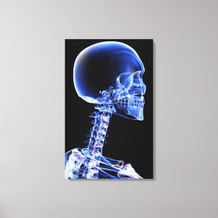 Close up x-ray of the bones in the neck canvas print