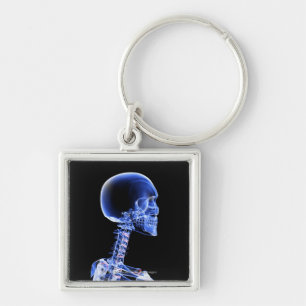 Close up x-ray of the bones in the neck keychain