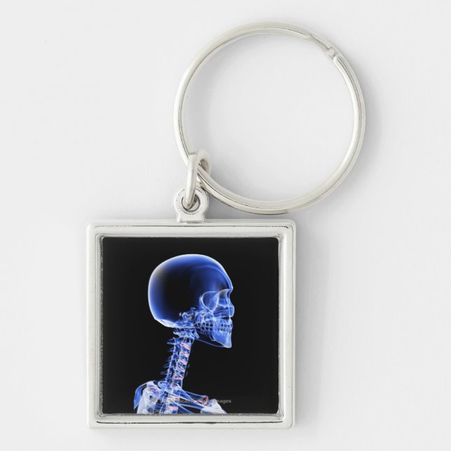 Close up x-ray of the bones in the neck keychain (Front)