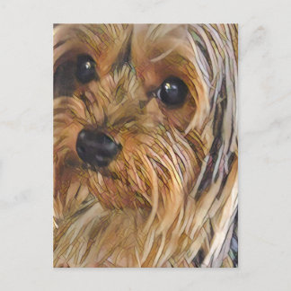 Close-up Yorkshire terrier postcard