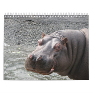 Close ups of wild animal faces 2014 calendar