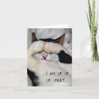 closed eye kitty, i am so so sorry... card