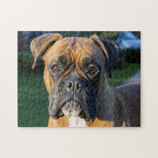 Closer up of a Boxer Dog Jigsaw Puzzle (Horizontal)