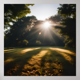 Closeup Beautiful View Of Nature Green Leaves Poster