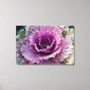 Closeup de Kale Ornementale Toile Stretted Art Mur