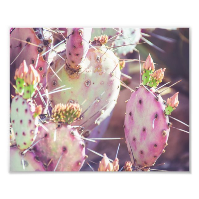 Closeup de poire de prickly | Impression photo (Devant)