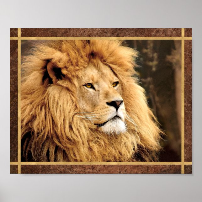 Closeup Lion Photo Poster (Front)