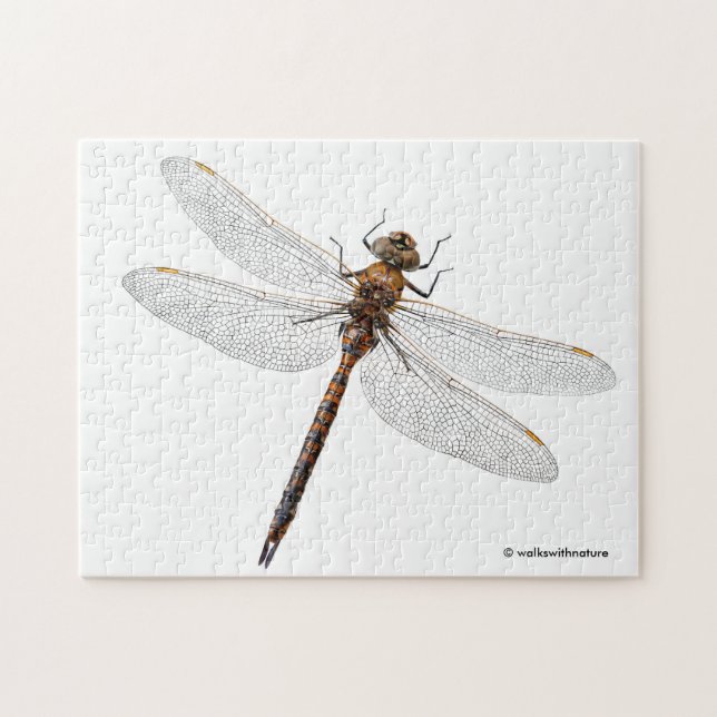 Closeup of a Canada Darner Dragonfly Jigsaw Puzzle (Horizontal)