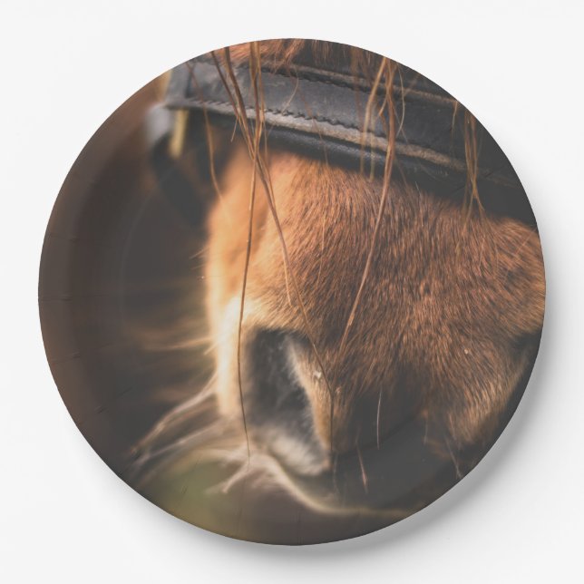 Closeup of a Cute Brown Horse Nose Paper Plate (Front)