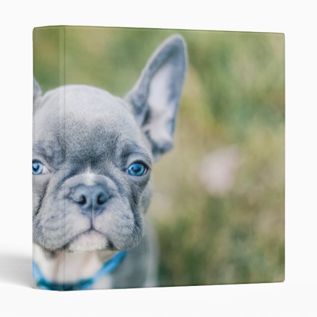 Closeup of a French Bulldog Binder (Front/Spine)