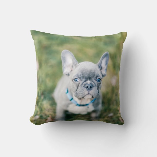 Closeup of a French Bulldog Throw Pillow (Front)