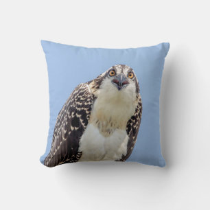 Closeup of a Juvenile Osprey Throw Pillow