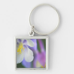 Closeup of Colorado Columbine flower. Keychain