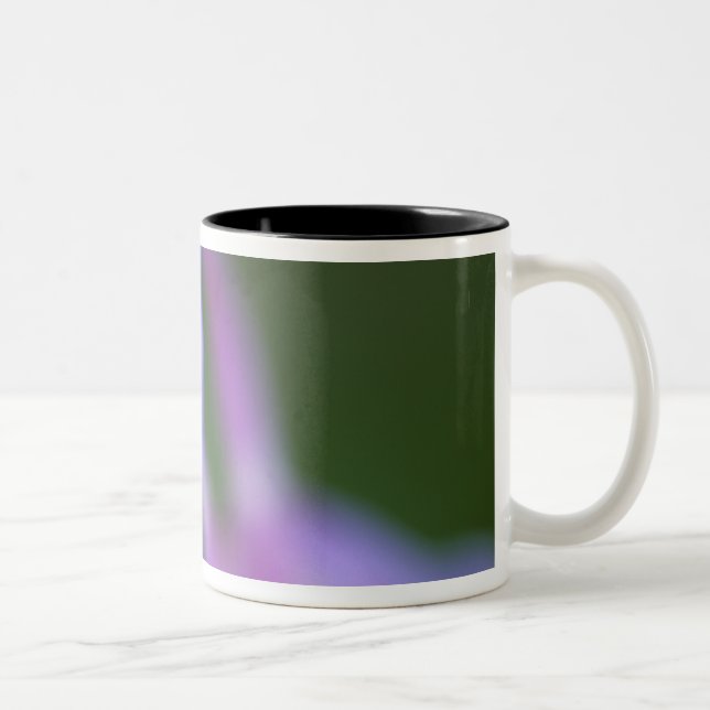 Closeup of Colorado Columbine flower. Two-Tone Coffee Mug (Right)