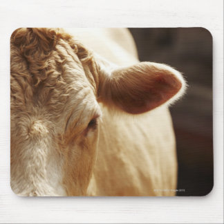 Closeup of cow face mouse pad