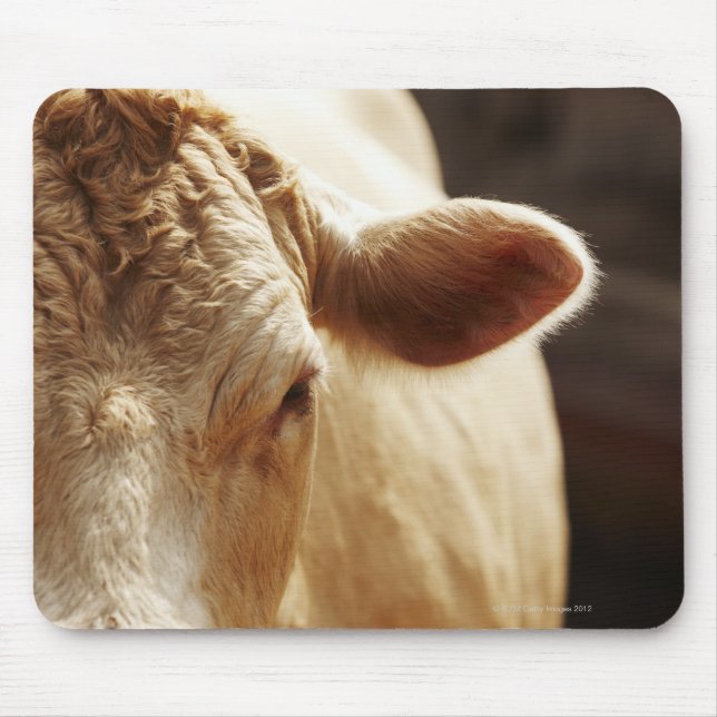 Closeup of cow face mouse pad (Front)