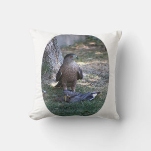 Closeup of Falcon cropped Throw Pillow