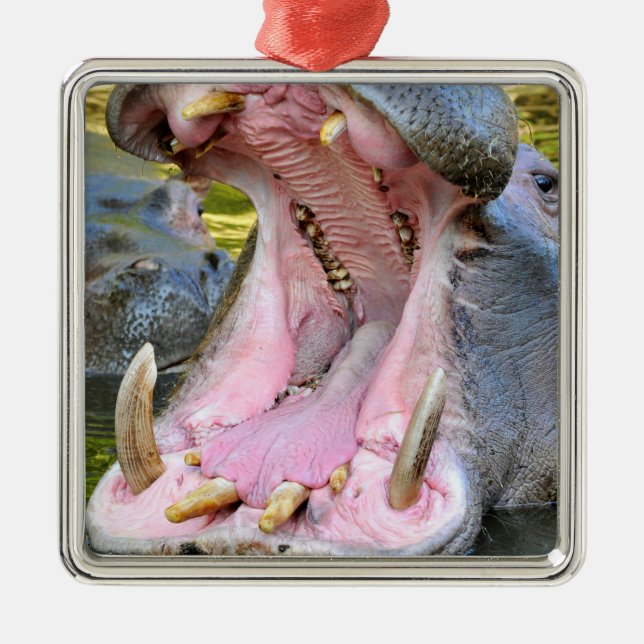 Closeup of hippopotamus open mouth metal ornament (Front)