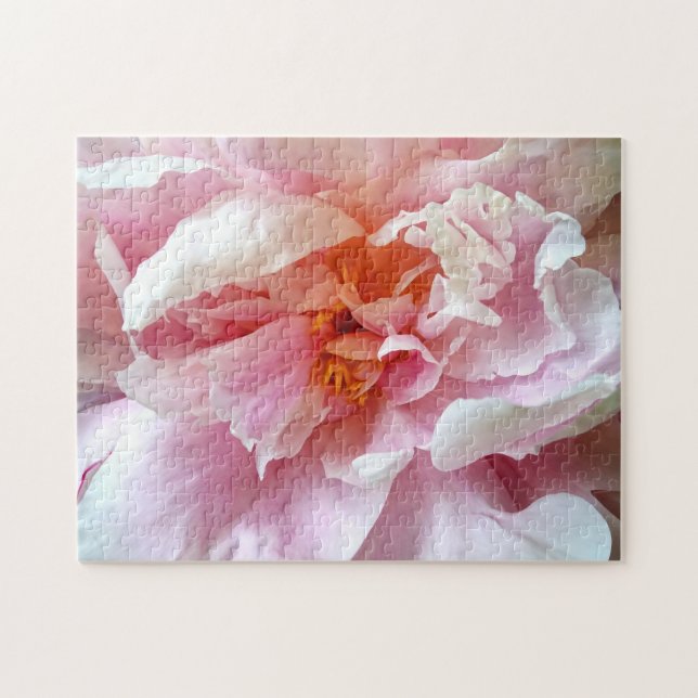 Closeup of Pale Pink Peonies Jigsaw Puzzle (Horizontal)