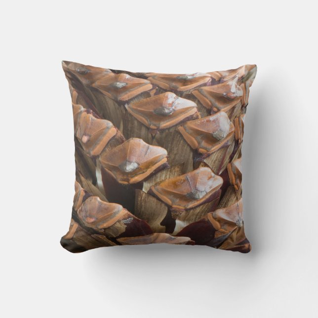Closeup of pine cone throw pillow (Front)