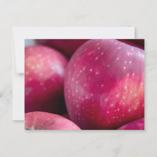 Closeup of Red Apples Postcard