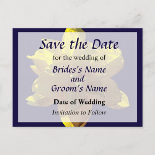 Closeup of Yellow Daffodil Announcement Postcard