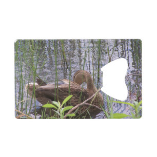 Closeup photo of a duck credit card bottle opener