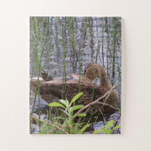 Closeup photo of a duck jigsaw puzzle