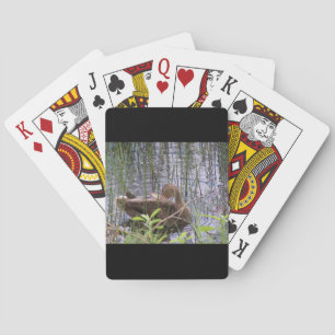 Closeup photo of a duck playing cards