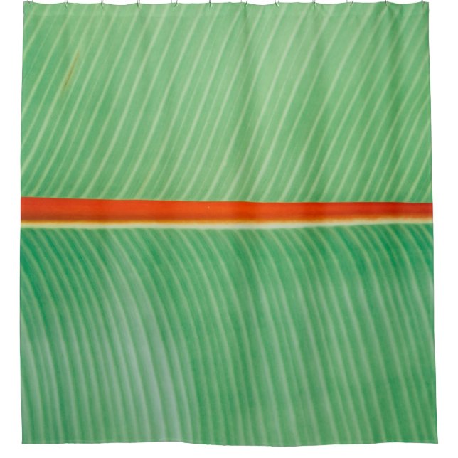 Closeup photo of green leaf (Front)