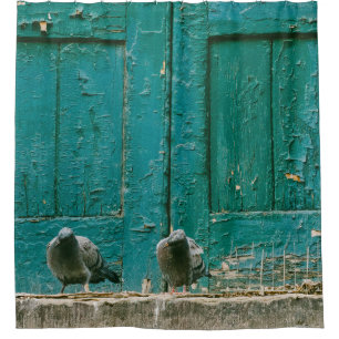 CLOSEUP PHOTO OF TWO GRAY PIGEONS ON GRAY CONCRETE
