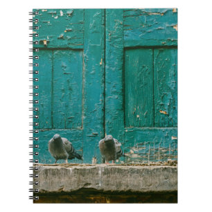 CLOSEUP PHOTO OF TWO GRAY PIGEONS ON GRAY CONCRETE NOTEBOOK
