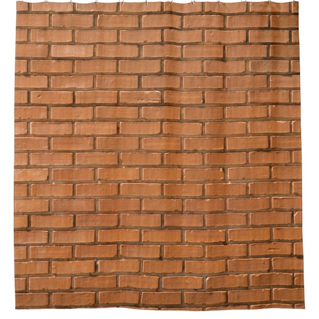 Closeup photography of brown brick wall (Front)