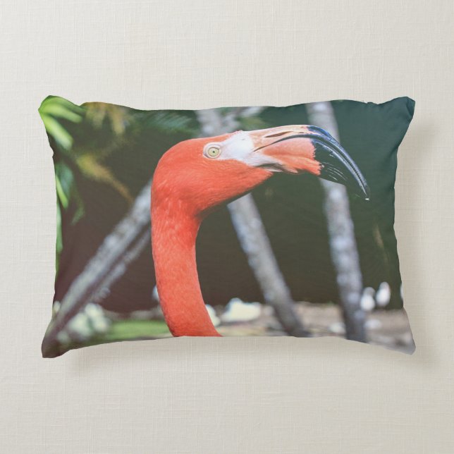 Closeup photography of red long-neck bird accent pillow (Front)