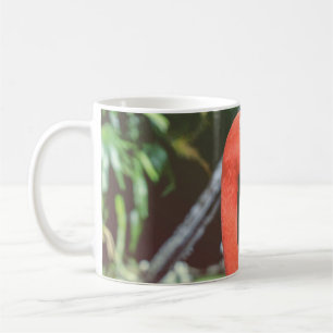 Closeup photography of red long-neck bird coffee mug