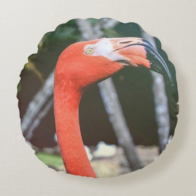 Closeup photography of red long-neck bird round pillow (Front)