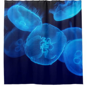 CLOSEUP PHOTOGRAPHY OF SWARM OF JELLYFISH