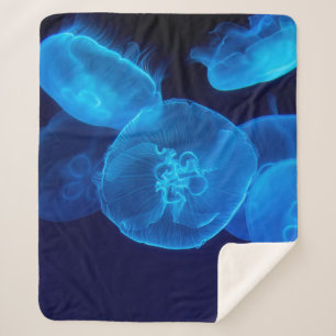 CLOSEUP PHOTOGRAPHY OF SWARM OF JELLYFISH SHERPA BLANKET