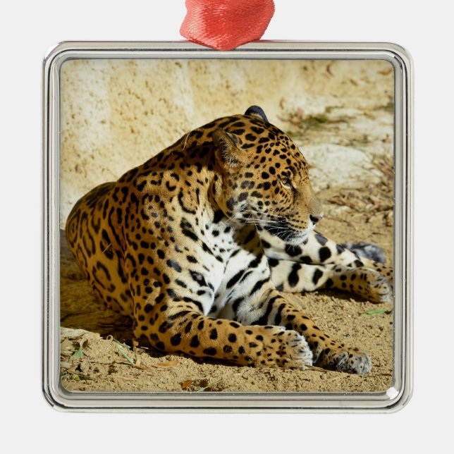 Closeup profile portrait of Jaguar lying on ground Metal Ornament (Front)
