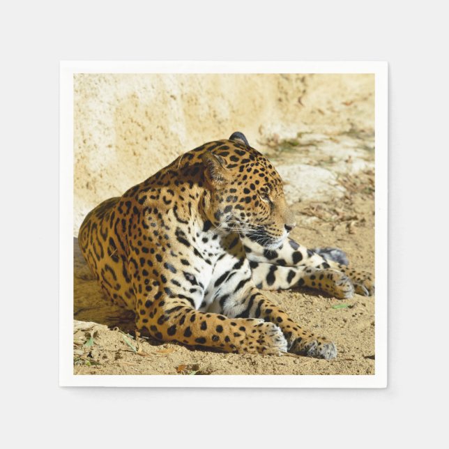 Closeup profile portrait of Jaguar lying on ground Napkin (Front)